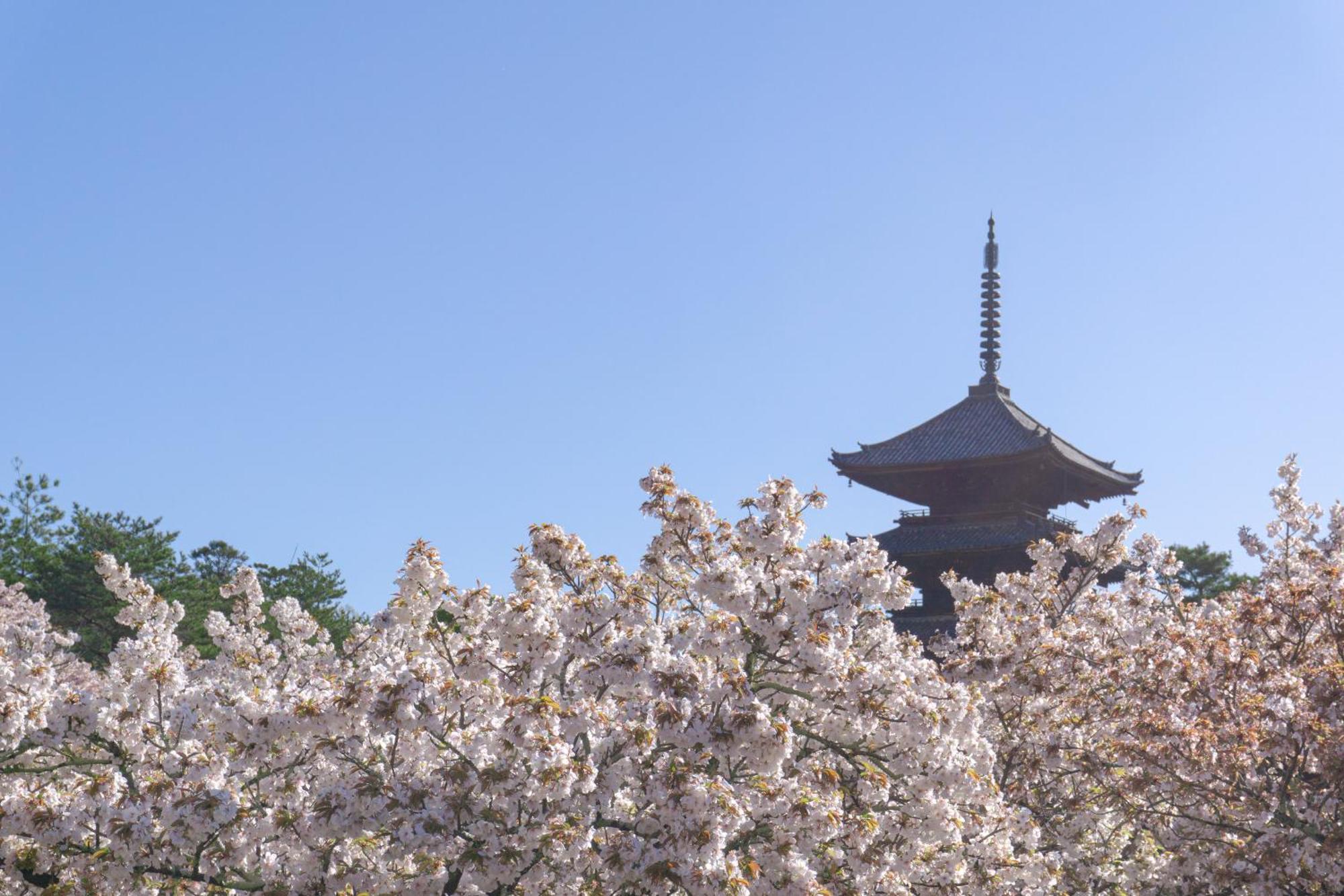 Tokyu Stay Kyoto Sanjo-Karasuma Екстер'єр фото