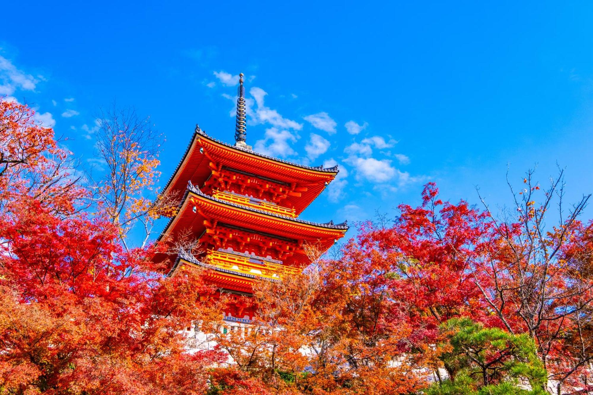 Tokyu Stay Kyoto Sanjo-Karasuma Екстер'єр фото