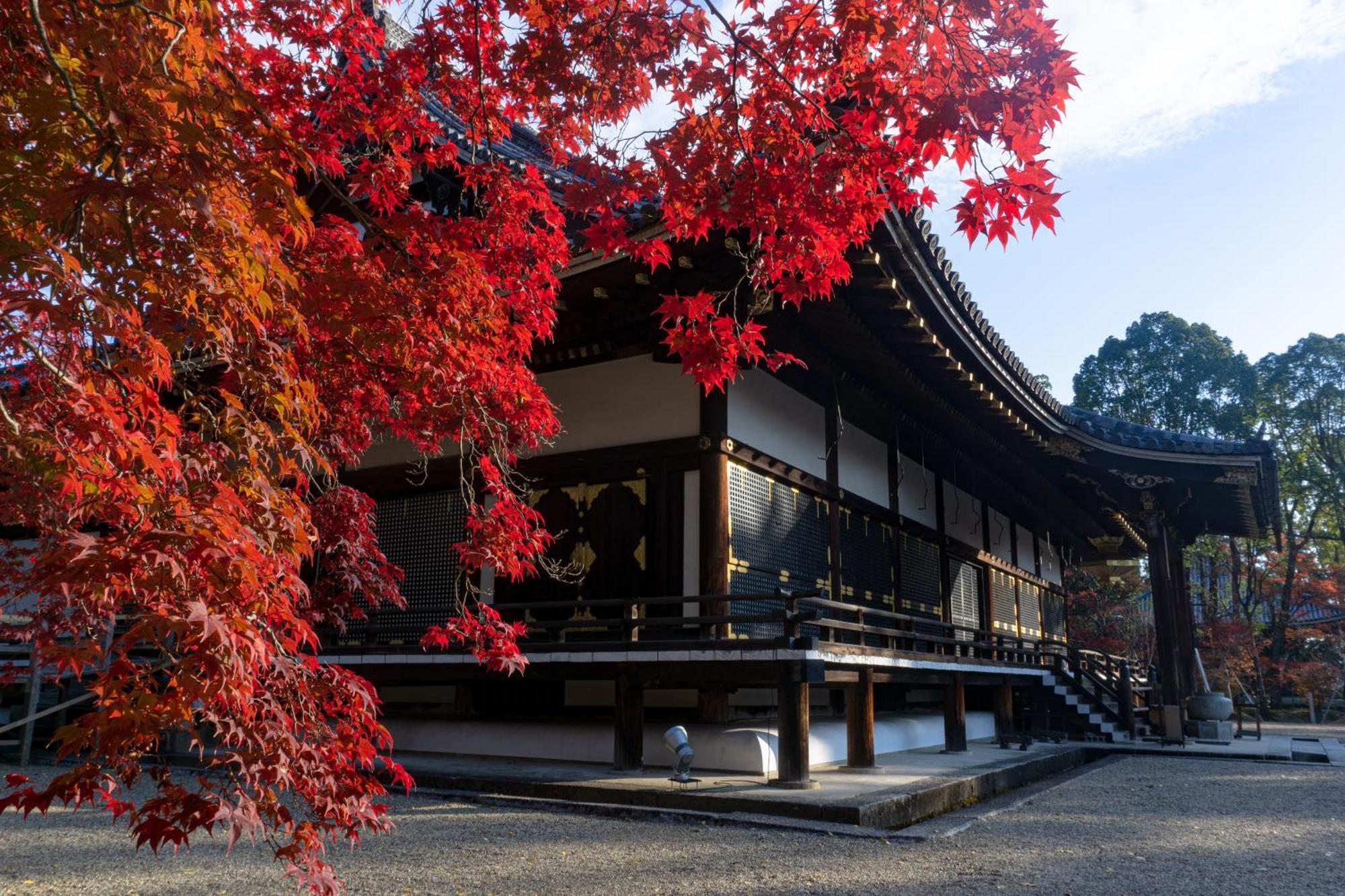 Tokyu Stay Kyoto Sanjo-Karasuma Екстер'єр фото