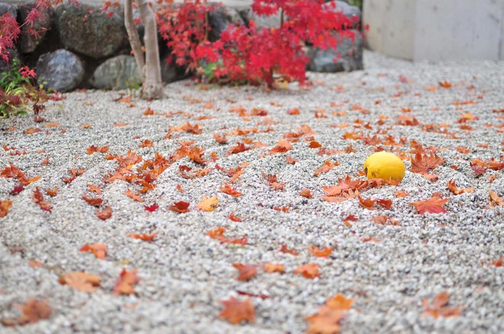 Tokyu Stay Kyoto Sanjo-Karasuma Екстер'єр фото