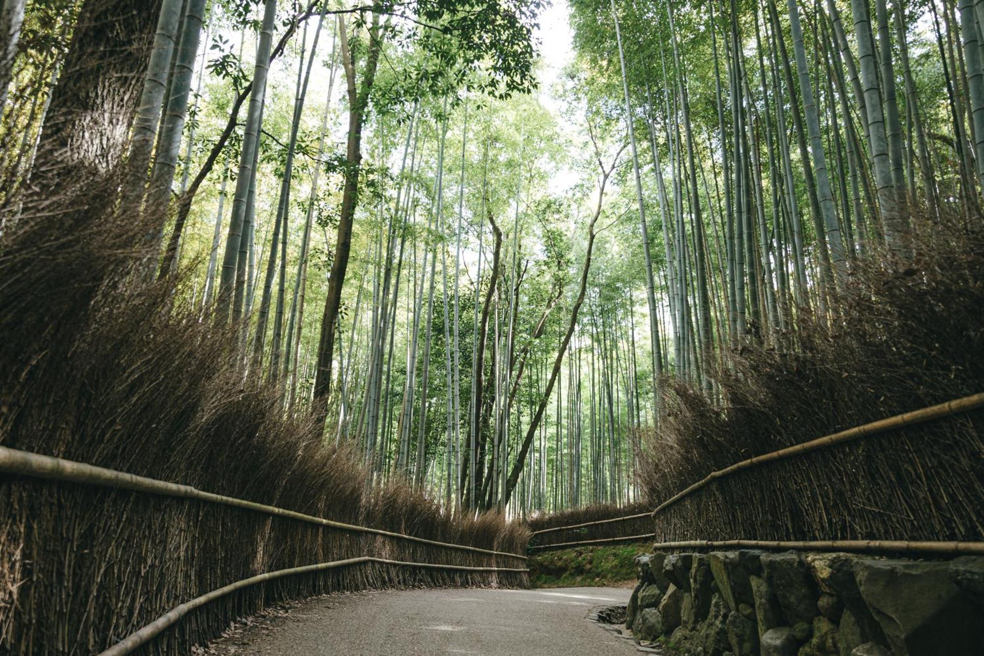 Tokyu Stay Kyoto Sanjo-Karasuma Екстер'єр фото